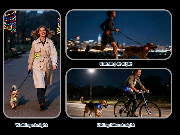 Dog collar light used for walking, running and cycling at night