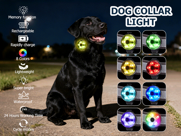 Rechargeable dog collar light shown on a black dog at night